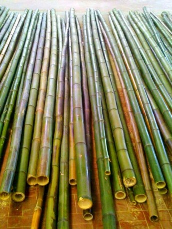 vendo-canne-di-bambu-bambu-bamboo-con-diametro-da-1-a-10-cm-per-arredamento-oggettistica-big-1